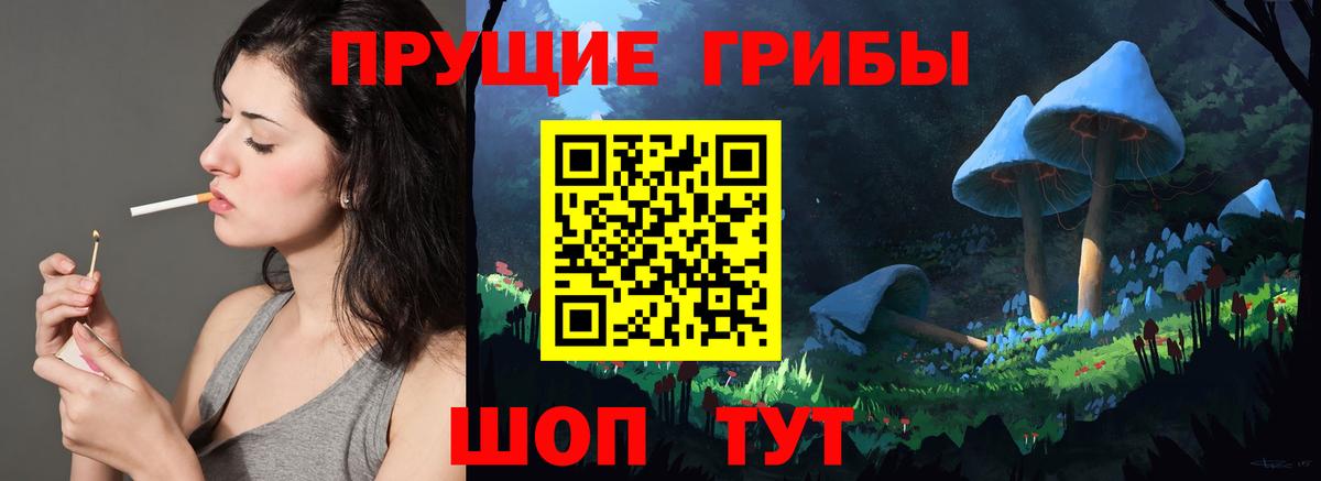 Ртищево  Псилоцибиновые грибы GOLDEN TEACHER  Псилоцибиновые грибы Psilocybe  Вход с VPN 